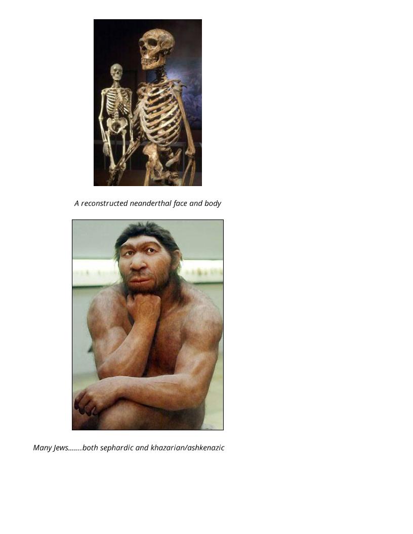 jews and semites neanderthal proof 018